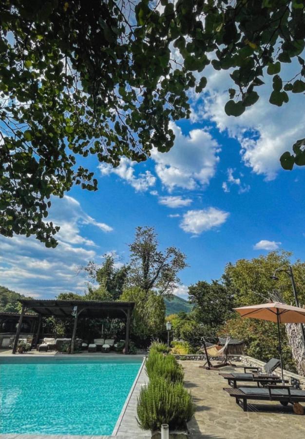 Bourazani Wild Life Resort Konitsa Esterno foto