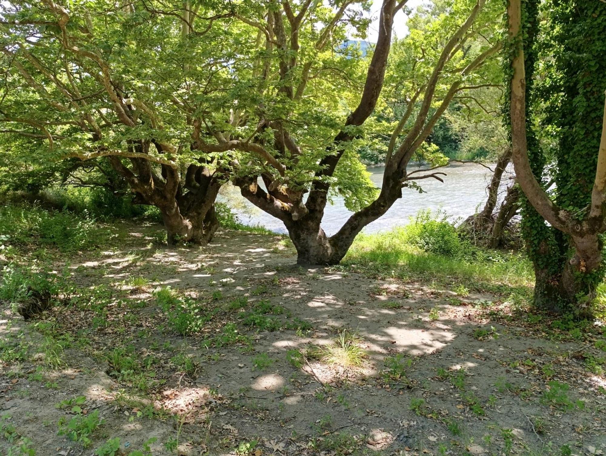 Bourazani Wild Life Resort Konitsa Esterno foto